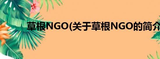 草根NGO(关于草根NGO的简介)