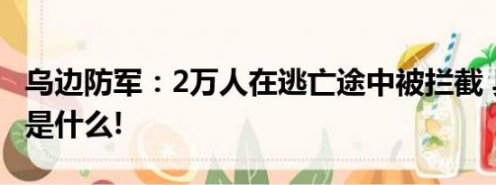 乌边防军：2万人在逃亡途中被拦截 具体情况是什么!