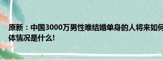 原新：中国3000万男性难结婚单身的人将来如何养老？ 具体情况是什么!