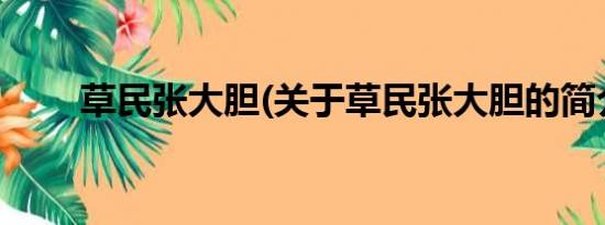 草民张大胆(关于草民张大胆的简介)