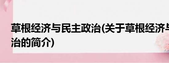 草根经济与民主政治(关于草根经济与民主政治的简介)