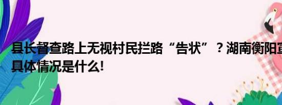 县长督查路上无视村民拦路“告状”？湖南衡阳宣传部回应 具体情况是什么!