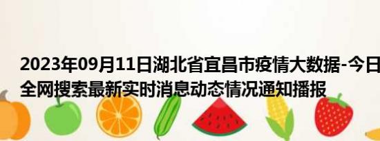 2023年09月11日湖北省宜昌市疫情大数据-今日/今天疫情全网搜索最新实时消息动态情况通知播报