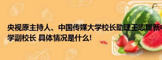 央视原主持人、中国传媒大学校长助理王志履新中央民族大学副校长 具体情况是什么!