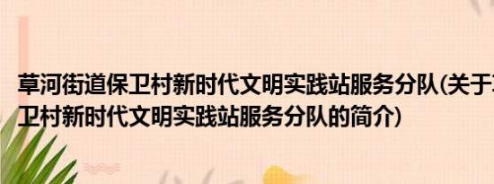 草河街道保卫村新时代文明实践站服务分队(关于草河街道保卫村新时代文明实践站服务分队的简介)