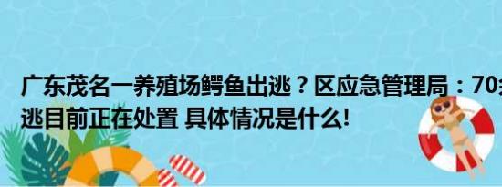 广东茂名一养殖场鳄鱼出逃？区应急管理局：70余条鳄鱼出逃目前正在处置 具体情况是什么!