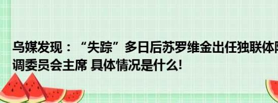 乌媒发现：“失踪”多日后苏罗维金出任独联体防空问题协调委员会主席 具体情况是什么!