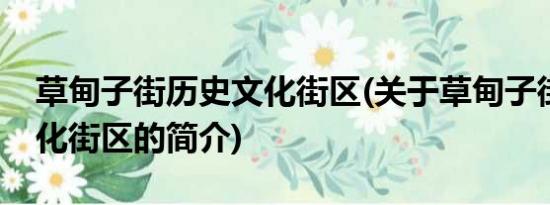 草甸子街历史文化街区(关于草甸子街历史文化街区的简介)