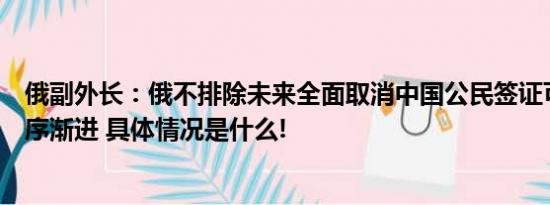 俄副外长：俄不排除未来全面取消中国公民签证可能性会循序渐进 具体情况是什么!