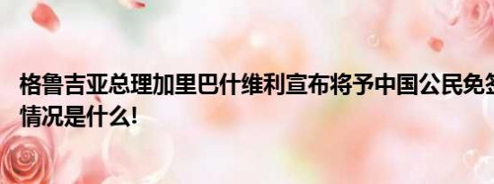 格鲁吉亚总理加里巴什维利宣布将予中国公民免签待遇 具体情况是什么!