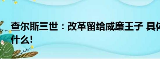 查尔斯三世：改革留给威廉王子 具体情况是什么!