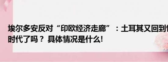 埃尔多安反对“印欧经济走廊”：土耳其又回到憎恨印度的时代了吗？ 具体情况是什么!