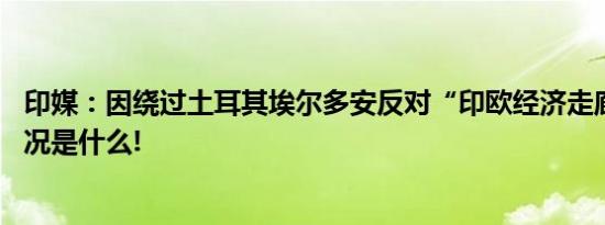 印媒：因绕过土耳其埃尔多安反对“印欧经济走廊” 具体情况是什么!