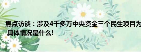 焦点访谈：涉及4千多万中央资金三个民生项目为何全烂尾？ 具体情况是什么!