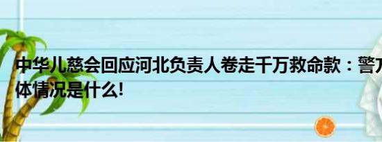 中华儿慈会回应河北负责人卷走千万救命款：警方已立案 具体情况是什么!