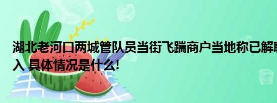 湖北老河口两城管队员当街飞踹商户当地称已解聘！纪委介入 具体情况是什么!