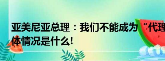 亚美尼亚总理：我们不能成为“代理人” 具体情况是什么!