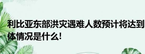 利比亚东部洪灾遇难人数预计将达到2万人 具体情况是什么!