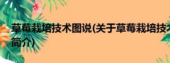 草莓栽培技术图说(关于草莓栽培技术图说的简介)