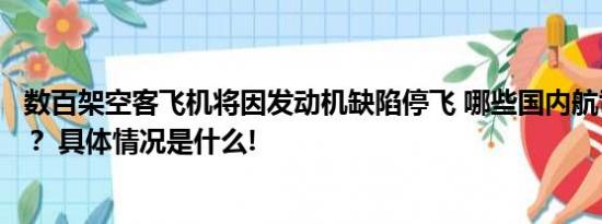 数百架空客飞机将因发动机缺陷停飞 哪些国内航司会受波及？ 具体情况是什么!