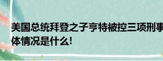 美国总统拜登之子亨特被控三项刑事罪名 具体情况是什么!