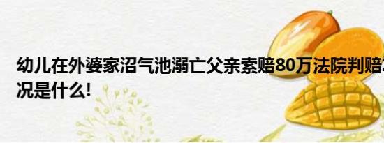 幼儿在外婆家沼气池溺亡父亲索赔80万法院判赔2万 具体情况是什么!