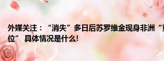 外媒关注：“消失”多日后苏罗维金现身非洲“重返工作岗位” 具体情况是什么!