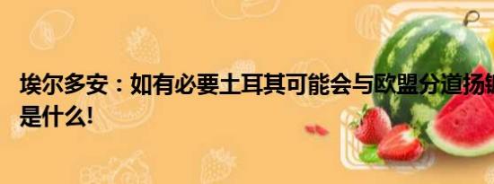 埃尔多安：如有必要土耳其可能会与欧盟分道扬镳 具体情况是什么!