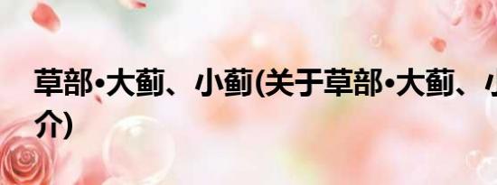 草部·大蓟、小蓟(关于草部·大蓟、小蓟的简介)