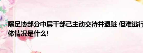 曝足协部分中层干部已主动交待并退赃 但难逃行政处分 具体情况是什么!