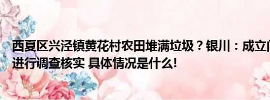 西夏区兴泾镇黄花村农田堆满垃圾？银川：成立问题调查组进行调查核实 具体情况是什么!