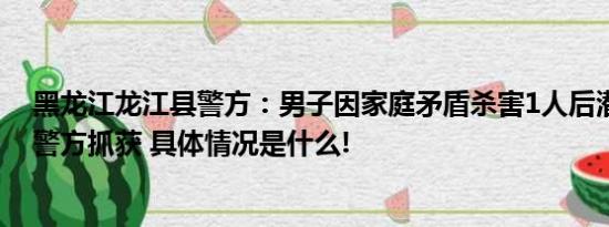 黑龙江龙江县警方：男子因家庭矛盾杀害1人后潜逃现已被警方抓获 具体情况是什么!