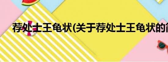 荐处士王龟状(关于荐处士王龟状的简介)