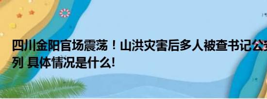 四川金阳官场震荡！山洪灾害后多人被查书记公安局长都在列 具体情况是什么!