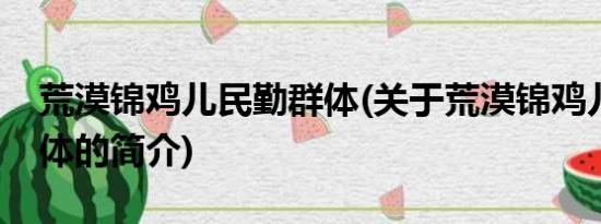 荒漠锦鸡儿民勤群体(关于荒漠锦鸡儿民勤群体的简介)