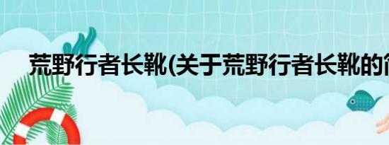 荒野行者长靴(关于荒野行者长靴的简介)