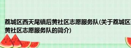 荔城区西天尾镇后黄社区志愿服务队(关于荔城区西天尾镇后黄社区志愿服务队的简介)