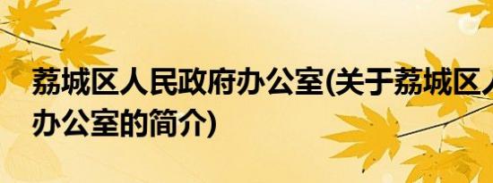 荔城区人民政府办公室(关于荔城区人民政府办公室的简介)