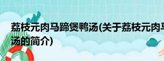 荔枝元肉马蹄煲鸭汤(关于荔枝元肉马蹄煲鸭汤的简介)