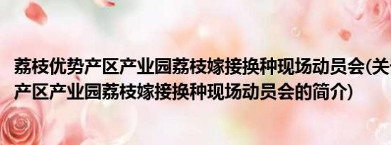 荔枝优势产区产业园荔枝嫁接换种现场动员会(关于荔枝优势产区产业园荔枝嫁接换种现场动员会的简介)