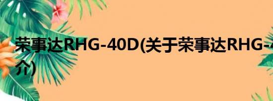 荣事达RHG-40D(关于荣事达RHG-40D的简介)