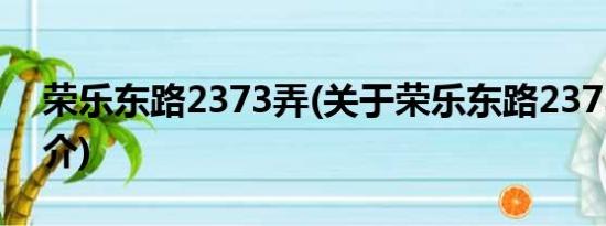 荣乐东路2373弄(关于荣乐东路2373弄的简介)