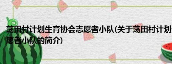 荡田村计划生育协会志愿者小队(关于荡田村计划生育协会志愿者小队的简介)