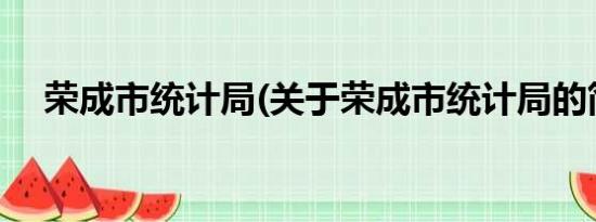 荣成市统计局(关于荣成市统计局的简介)