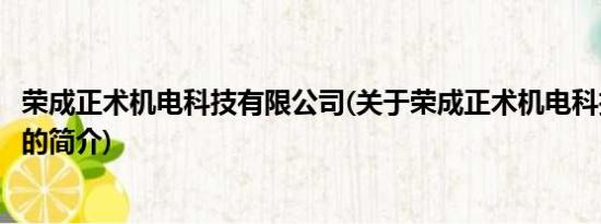 荣成正术机电科技有限公司(关于荣成正术机电科技有限公司的简介)