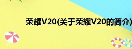 荣耀V20(关于荣耀V20的简介)