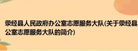 荥经县人民政府办公室志愿服务大队(关于荥经县人民政府办公室志愿服务大队的简介)