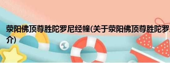 荥阳佛顶尊胜陀罗尼经幢(关于荥阳佛顶尊胜陀罗尼经幢的简介)