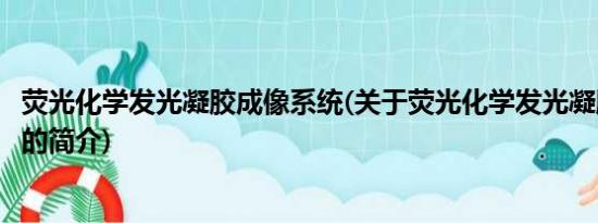 荧光化学发光凝胶成像系统(关于荧光化学发光凝胶成像系统的简介)