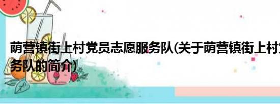 荫营镇街上村党员志愿服务队(关于荫营镇街上村党员志愿服务队的简介)